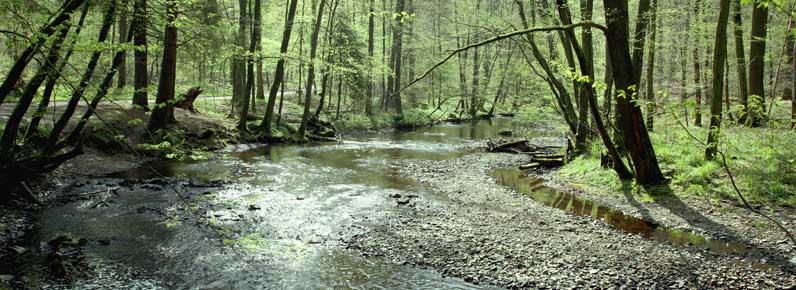 Gemeinde Odenthal