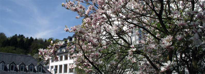 Gemeinde Odenthal